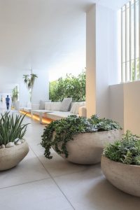 Maceteros y plantas gigantes para decoración de interiores y exteriores
