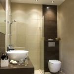 baños pequeños modernos y funcionales