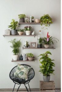 Ideas para decorar tu casa con plantas