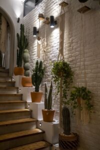 Jardines interiores bajo las escaleras de tu casa